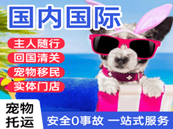 琼海航空快运国际宠物托运 【国